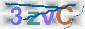Obraz CAPTCHY