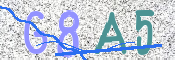Obraz CAPTCHY