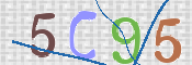 Obraz CAPTCHY