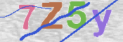 Obraz CAPTCHY