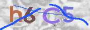 Obraz CAPTCHY