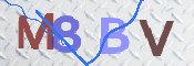 Obraz CAPTCHY