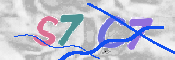 Obraz CAPTCHY