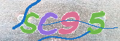 Obraz CAPTCHY